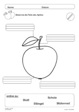 Der Apfel im Unterricht 23.pdf